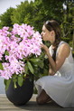 Rhododendron 'INKARHO ®-Dufthecke' rosa Ⓢ <br>Rhododendron Hybride / Großblumiger Rhododendron